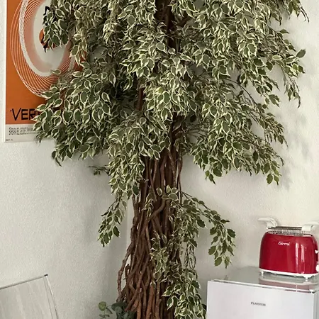 Apartamento My Secret Vicino Al